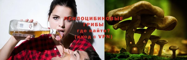 сатива Вязьма