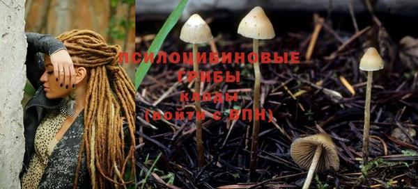 сатива Вязьма