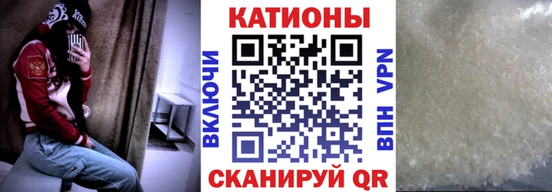 ОМГ ОМГ ссылки  Ельня  МЯУ-МЯУ мяу мяу 