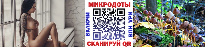 Галлюциногенные грибы прущие грибы  Ельня 